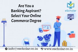 Are You a Banking Aspirant Select Your Online Commerce Degree