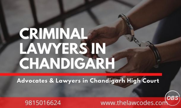 Best Criminal Lawyers in Chandigarh 