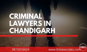 Best Criminal Lawyers in Chandigarh High Court
