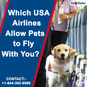 How to Make Pet Reservations On United Airlines