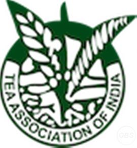 Tea Association of India