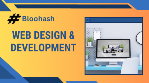 Web Design and Development Company in India 