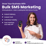 Whatsapp Bulk SMS Service Provider